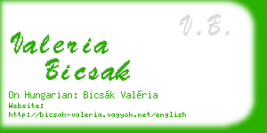 valeria bicsak business card