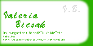 valeria bicsak business card